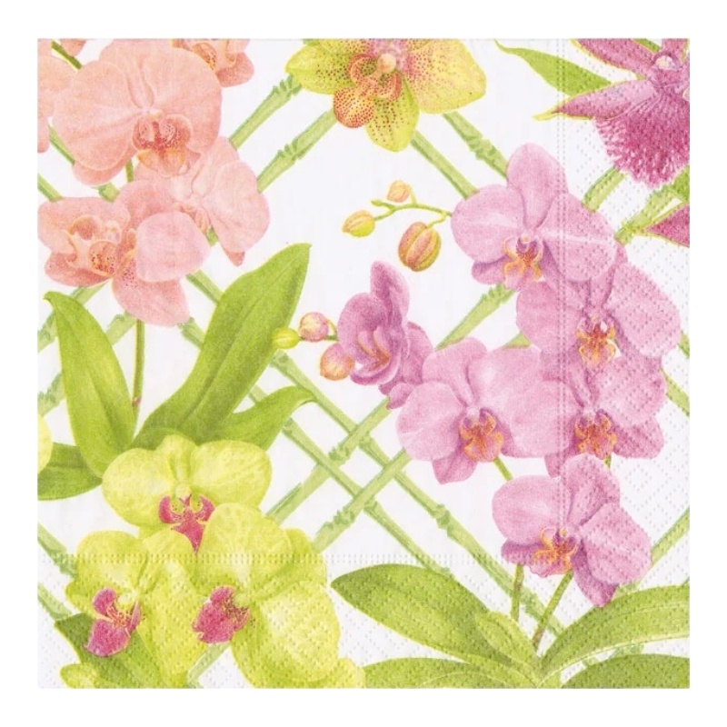 Orchid Conservatory Caspari 18370C