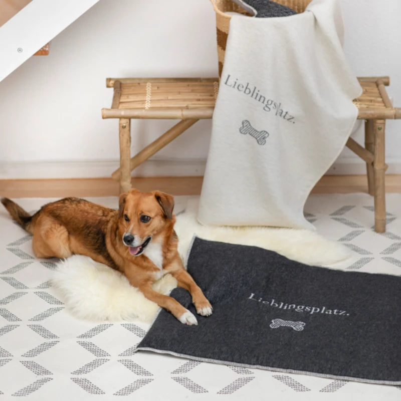 David Fussenegger Lieblingsplatz Hundematte