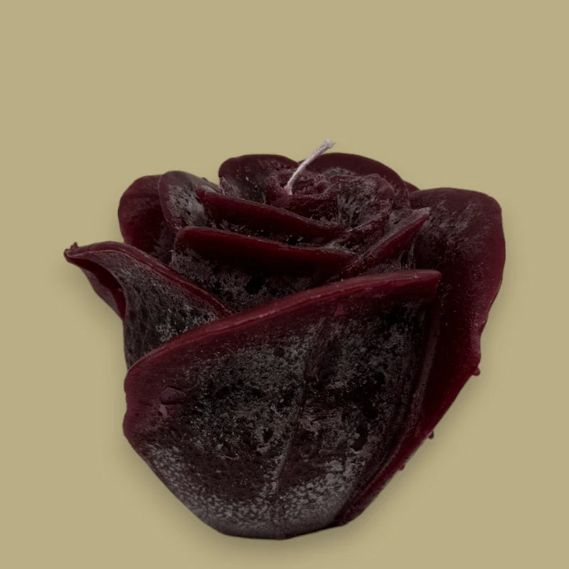 Dekocandle Rosenkerze Large Bordeaux C42904B