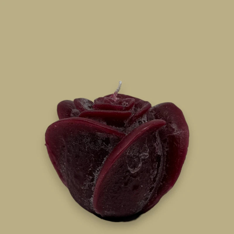 Dekocandle Rosenkerze Medium Bordeaux C40904B