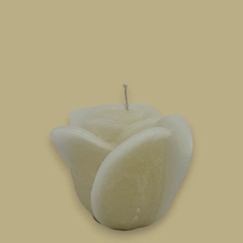 Dekocandle Rosenkerze Medium Ivory C40909