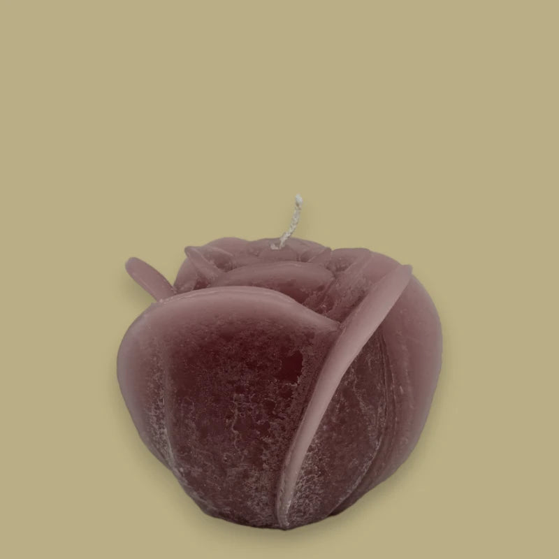 Dekocandle Rosenkerze Medium Old Red C40976