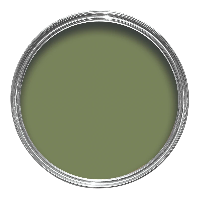 Farrow and Ball Sap Green 199