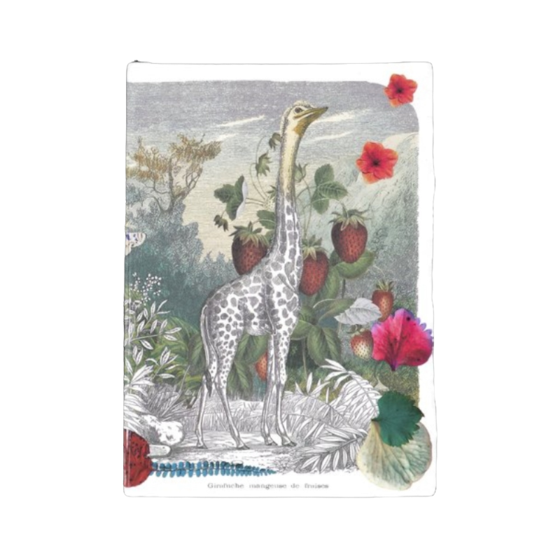 Christian Lacroix Wild Nature Notizbuch A6
