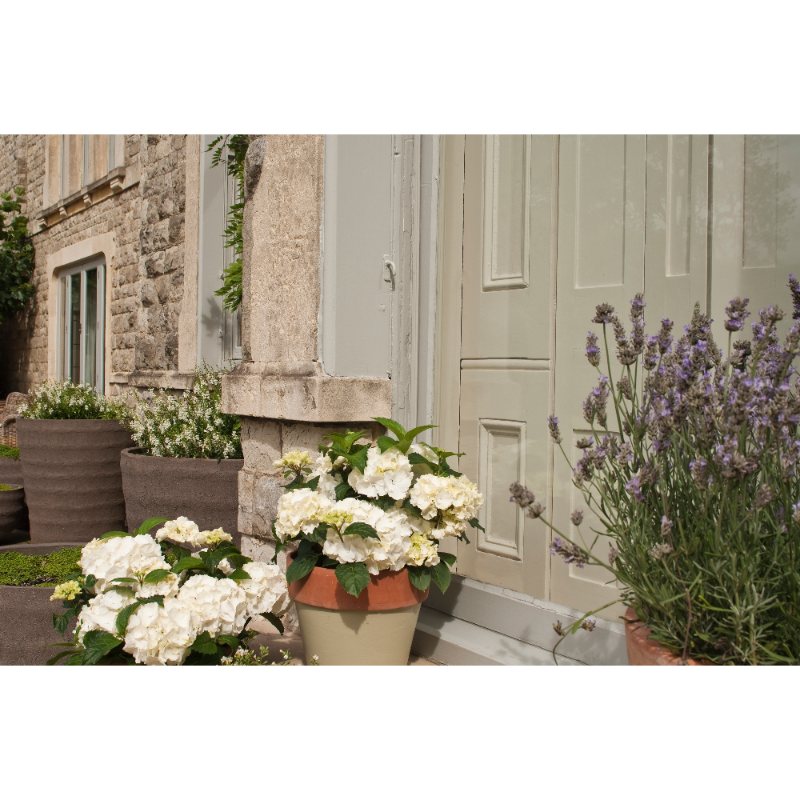 Farrow & Ball Farrow Ball Farben Grün Ball Green 75