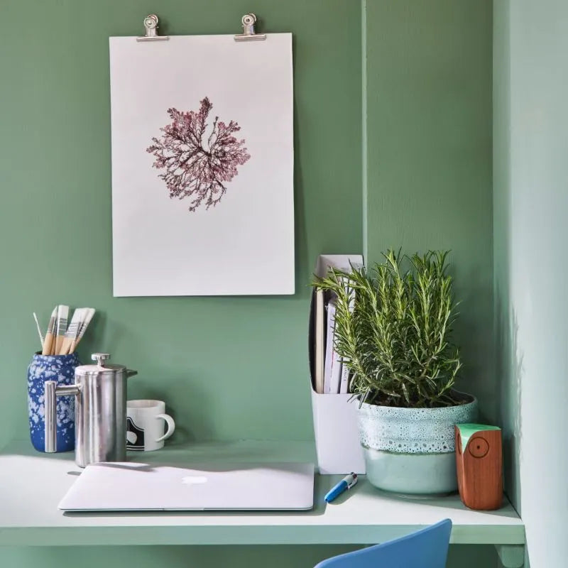 Farrow & Ball Farrow Ball Farben Grün Breakfast Room Green 81