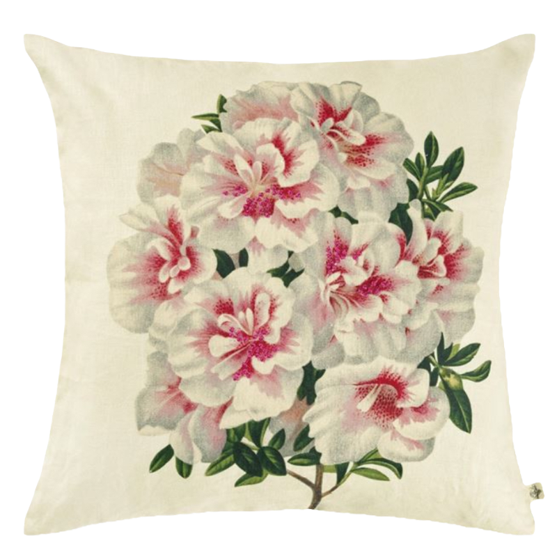 John Derian Kissen Variegated Azalea