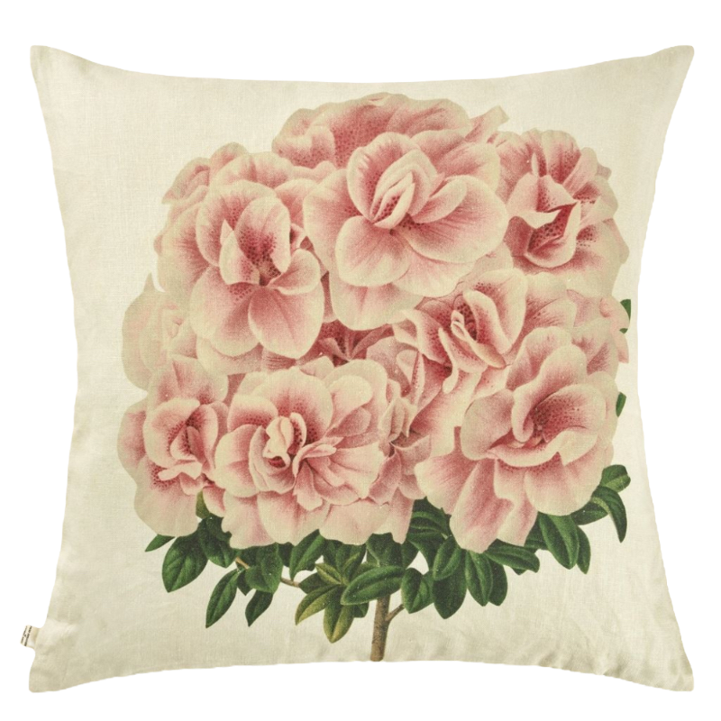 John Derian Kissen Variegated Azalea