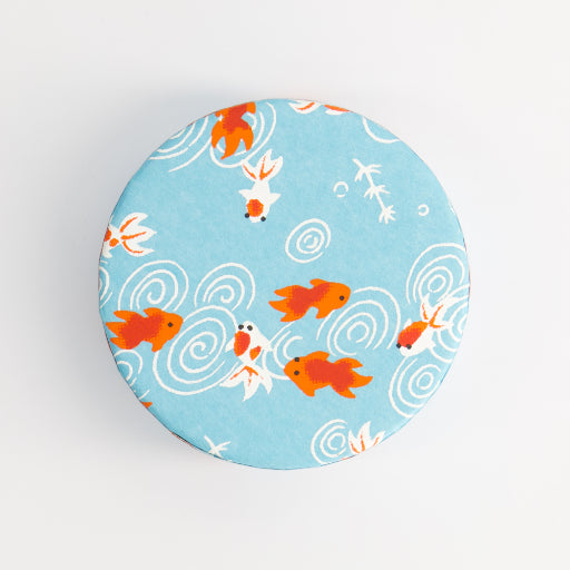 Matcha Goldfischdose
