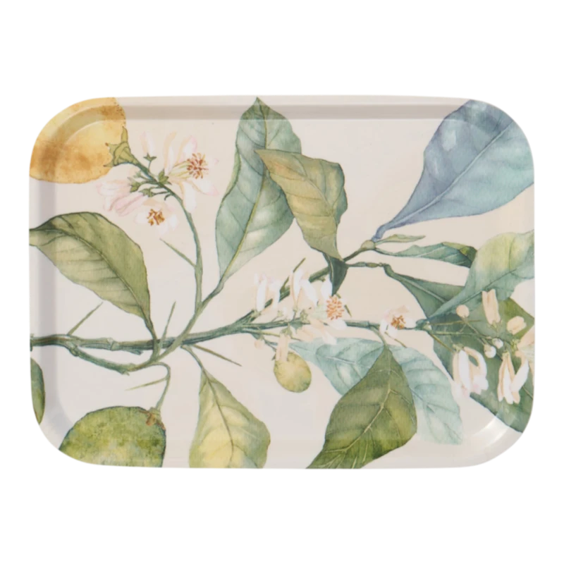 Tablett Citrus Klippan 